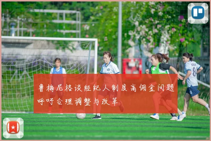 鲁梅尼格谈经纪人制度高佣金问题呼吁合理调整与改革